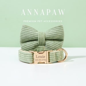 May include: A green corduroy dog collar with a gold buckle and a matching bow tie. The buckle has the name "Louie" and the phone number "123.251.6792" engraved on it.
