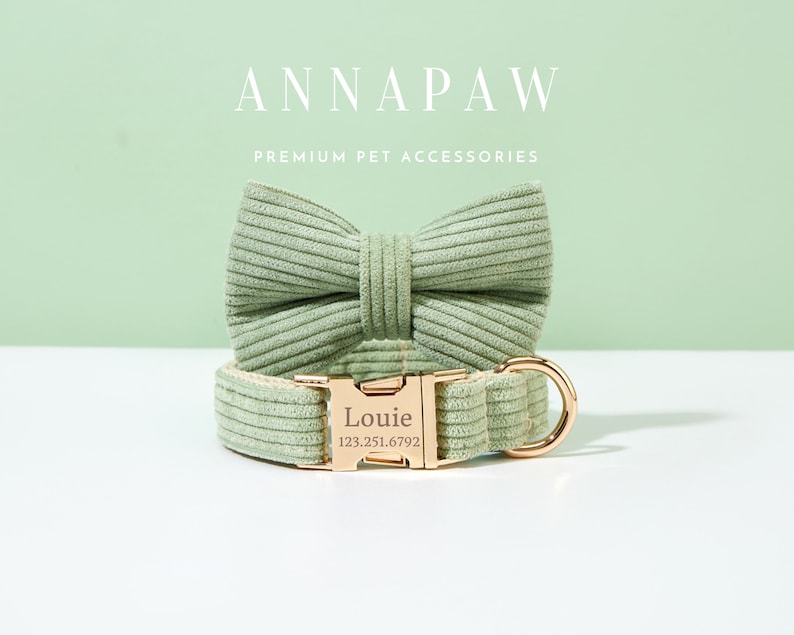 May include: A green corduroy dog collar with a gold buckle and a matching bow tie. The buckle has the name "Louie" and the phone number "123.251.6792" engraved on it.