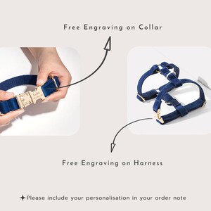 Puede incluir: Un collar y un arn&eacute;s para perro de terciopelo azul con herrajes dorados. El collar tiene el texto "Loki" grabado. La grabaci&oacute;n es gratuita tanto en el collar como en el arn&eacute;s.