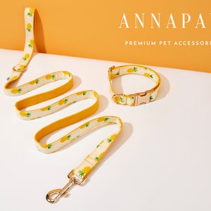 Conjunto de pajarita de correa de collar de perro con estampado de piña, pajarita de collar de cachorro hecha a mano, correa de collar de perro personalizada para regalo de cumpleaños, collar de perro de lujo
