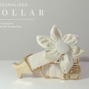 Cream White Personalized Dog Collar Flower,Thick Velvet Dog Collar Wedding, Luxury Pet Puppy Collar for Small Dogs,Engraved Collar with Name