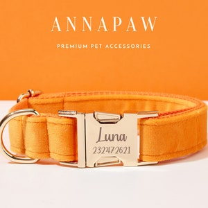 Fancy Orange Velvet Puppy Collar Leash Set,Personalized Dog Collar Bowtie Set For Birthday Gift,Handmade Engraved Dog Collar Leash Bow