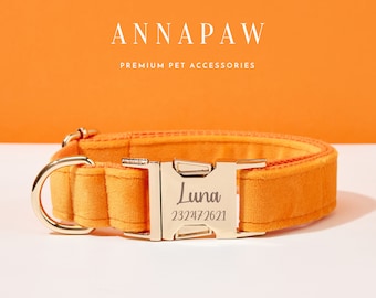 Elegante set di collare e guinzaglio per cuccioli in velluto arancione, set di papillon personalizzato per collare e guinzaglio per cani, ideale come regalo di compleanno, papillon per collare e guinzaglio per cani inciso a mano.