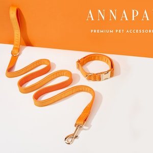 Fancy Orange Velvet Puppy Collar Leash Set,Personalized Dog Collar Bowtie Set For Birthday Gift,Handmade Engraved Dog Collar Leash Bow