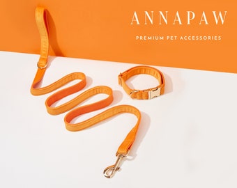 Elegante set di collare e guinzaglio per cuccioli in velluto arancione, set di papillon personalizzato per collare e guinzaglio per cani, ideale come regalo di compleanno, papillon per collare e guinzaglio per cani inciso a mano.