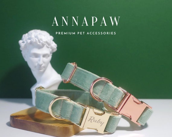 Personalized Dog Collar and Leash Bow tie set, Boy Dog Collar, Girl Dog Collar, Custom Dog Collar Mint, Green Dog Collar Bow, Free Shipping