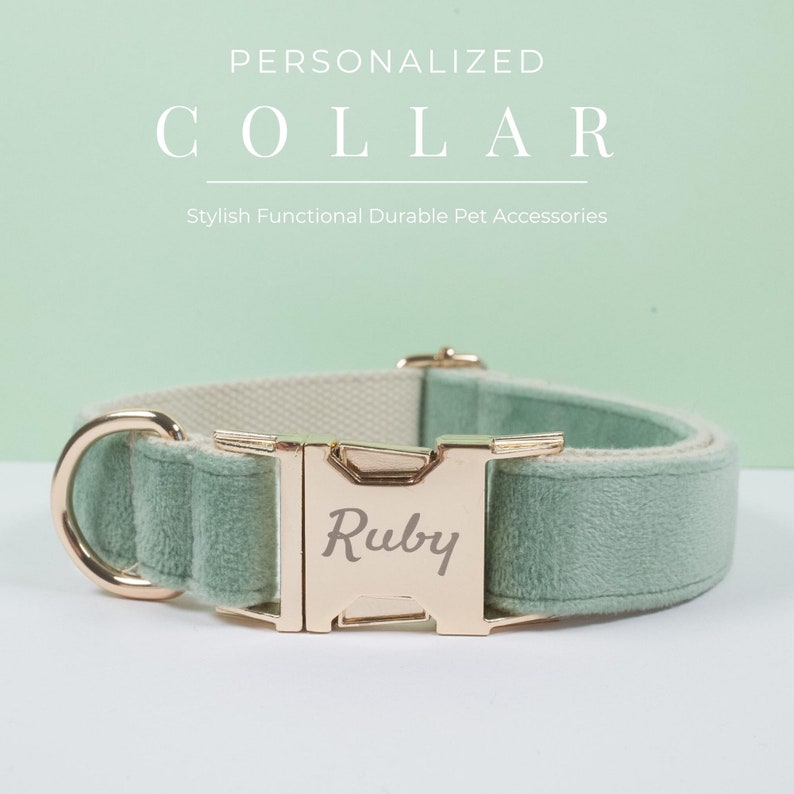 May include: A light green velvet dog collar with a gold buckle. The buckle is engraved with the name "Ruby".