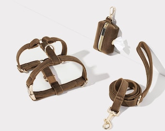 Luxuriöses Braun Samt Hundegeschirr, personalisierte Welpen Geschirr Leine Set für Hochzeitsgeschenk, kein Pull Hundegeschirr Jungen, weiches Welpen Geschirr Mädchen