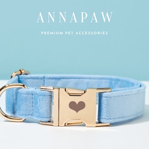 May include: A light blue velvet dog collar with a gold buckle featuring a heart design. The collar is made by Annapaw, a company that specialises in premium pet accessories.