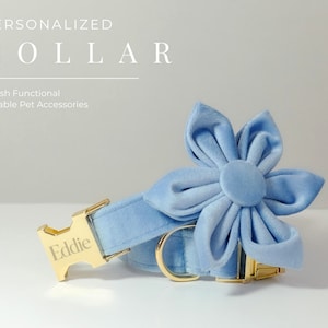 Blue Personalized Dog Collar Flower, Thick Velvet Dog Collar Wedding, Luxury Pet Puppy Collar for Small Dogs, Engraved Collar with Name