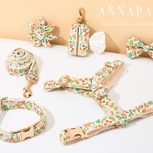 Custom Puppy Harness Leash Set Gift For Pet Parents,Cute Puppy Collar Harness,Luxury Dog Harness Dress With Pet Name Tags,Padded Dog Harness