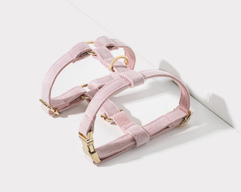 Puede incluir: Un arn&eacute;s para perro de terciopelo rosa con herrajes de metal dorado. El arn&eacute;s tiene dos correas ajustables y un cierre de hebilla.