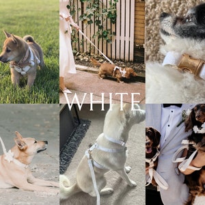 Weißes Hundehalsband mit Schleife, personalisiertes Welpen-Halsband mit Schleife für Hochzeitsgeschenk, personalisiertes Hundehalsband mit Schleife auf dem Halsband Bild 5