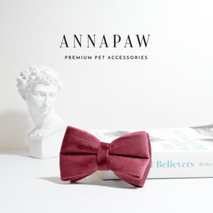 May include: A burgundy velvet bow tie for pets. The bow tie is on a white surface with a white bust sculpture and a book titled "Believers" by Rebecca Makkai in the background.