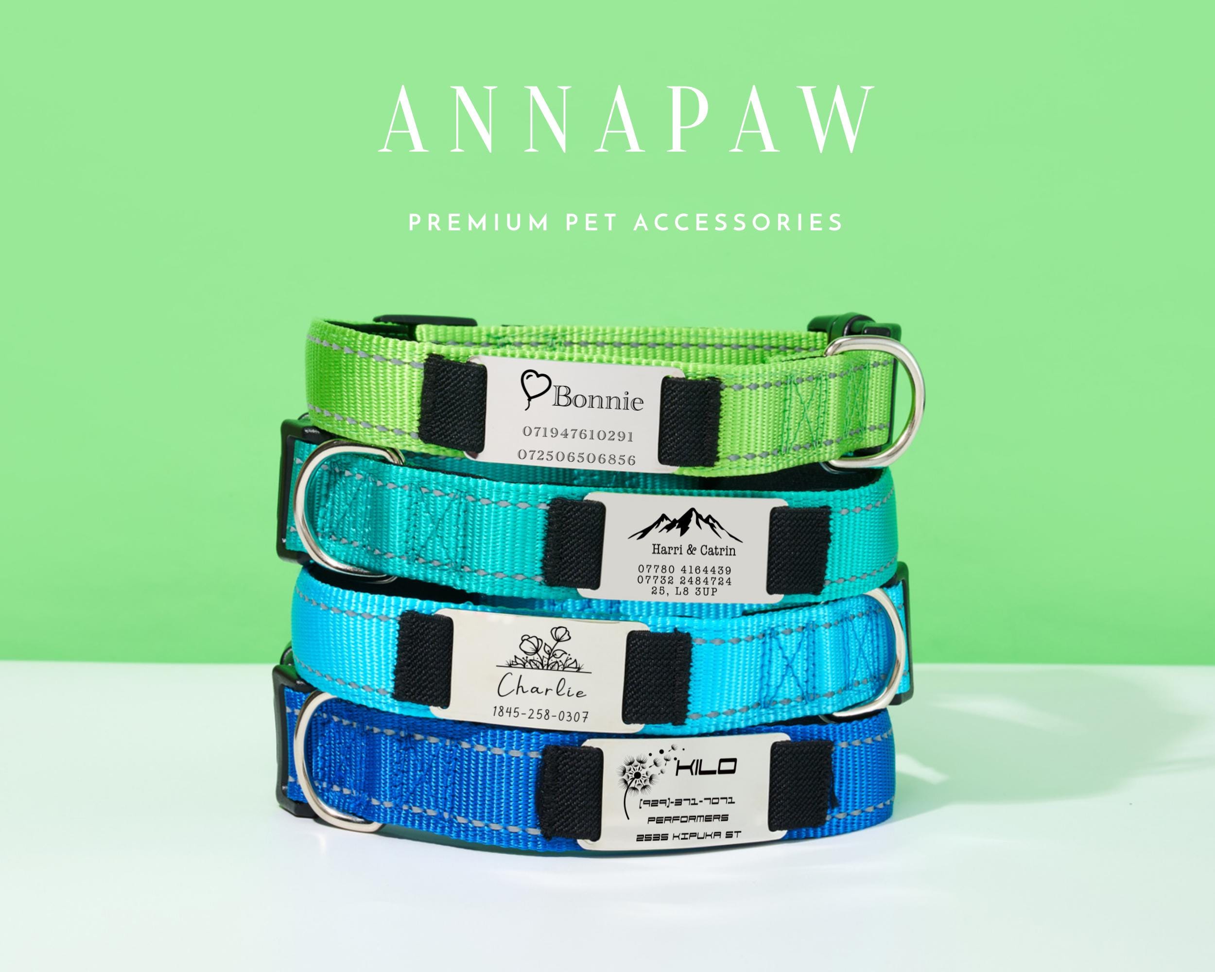Newtensina Collare e guinzaglio di cani alla moda con borchie Collare