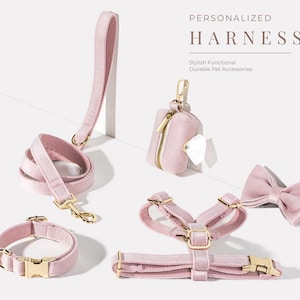 Ensemble harnais + laisse + collier + nœud papillon + porte-sac pour chien rose, harnais personnalisé en velours de luxe fantaisie avec plaque signalétique gravée