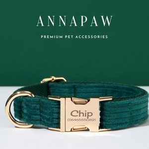 May include: A green velvet dog collar with a gold buckle and a gold name tag that says "Chip (1)6465550821".