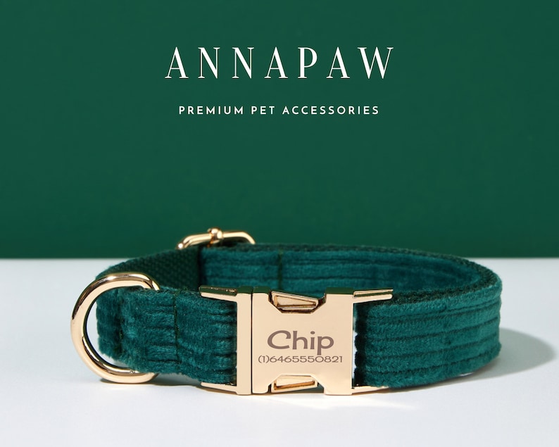 May include: A green velvet dog collar with a gold buckle and a gold name tag that says "Chip (1)6465550821".
