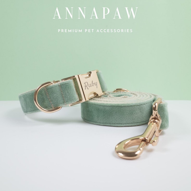 May include: A sage green velvet dog collar and leash set with a gold metal buckle and clasp. The collar has the name "Ruby" engraved on the buckle.
