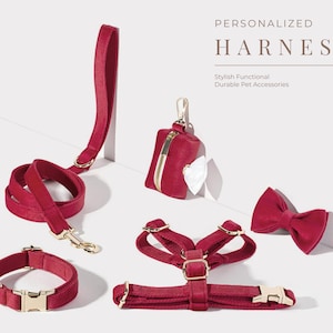 Red Dog Harness+Leash+Collar+Bow tie+Poo Bag Holder Set, Personalised Step in Harness Luxury Velvet with Engraved Nameplate, No Pull Style