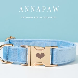 May include: A light blue velvet dog collar with a gold buckle featuring a heart design. The collar is made by Annapaw, a company that specialises in premium pet accessories.