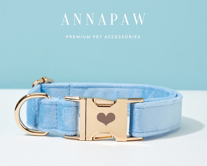 May include: A light blue velvet dog collar with a gold buckle featuring a heart design. The collar is made by Annapaw, a company that specialises in premium pet accessories.