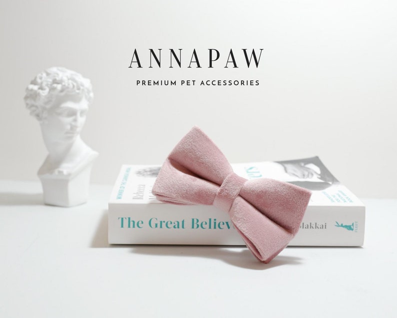 Pu&ograve; includere: Un papillon di velluto rosa polvere per animali domestici. Il papillon &egrave; su un libro bianco con il testo "The Great Believ" visibile.
