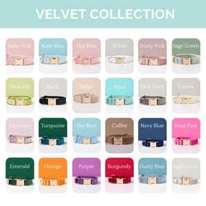 May include: A collection of 20 velvet dog collars in various colors, including baby pink, baby blue, hot pink, white, dusty pink, sage green, avocado, black, beige, aqua, dark grey, cream, lavender, turquoise, sky blue, coffee, navy blue, rose pink, emerald, orange, purple, burgundy, dusty blue, and light grey. Each collar has a gold metal buckle.