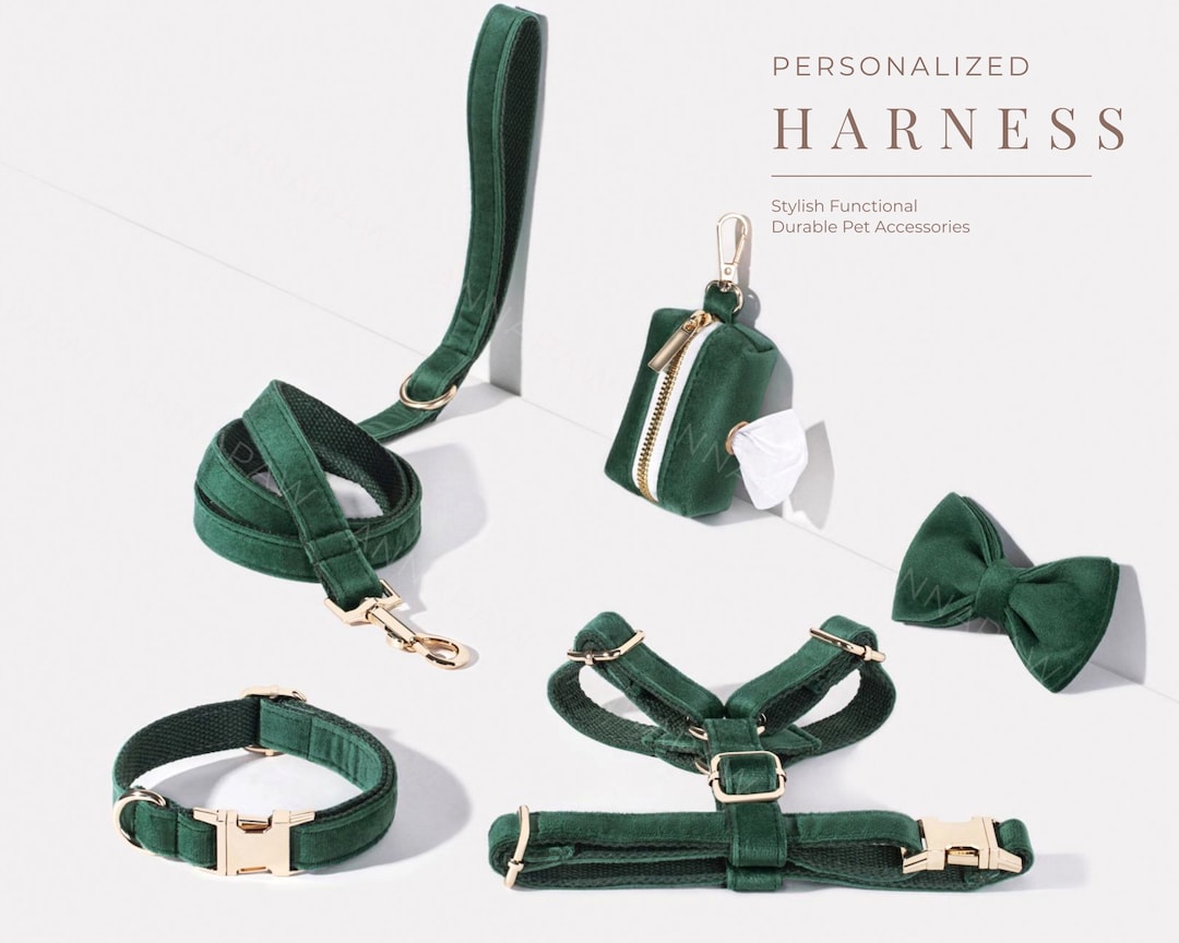 Dog harness with bow hot sale