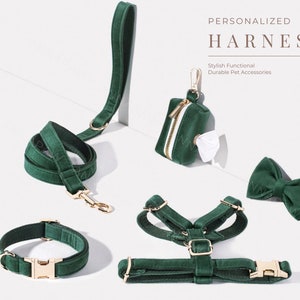 Emerald Green Dog Harness+Leash+Collar+Bow tie+Poo Bag Holder Set, Personalised Step in Harness Fancy Luxury Velvet with Engraved Nameplate