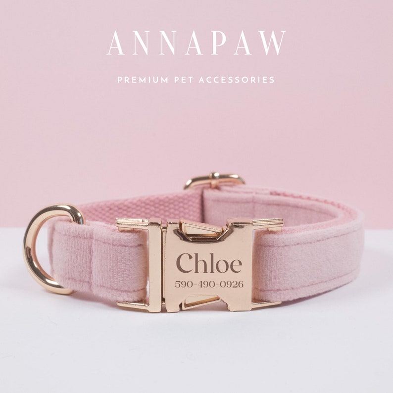May include: A pink dog collar with a gold-colored buckle and hardware. The buckle is engraved with the name "Chloe" and a phone number. The collar has the text "ANNAPAW PREMIUM PET ACCESSORIES" in the background.