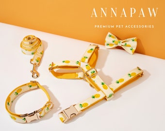 Niedliches Hundegeschirr und Leine Halsband Schleife Set, Personalisiertes Geschirr mit Namen eingraviert, Jungen Hundegeschirr Fliege Halsband Set