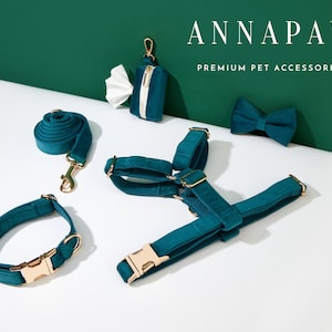Turquoise Personalized Dog Harness and Leash Collar Set, Soft Velvet Harness with Name Engraved, Soft Luxury Harness Bow tie Collar Set