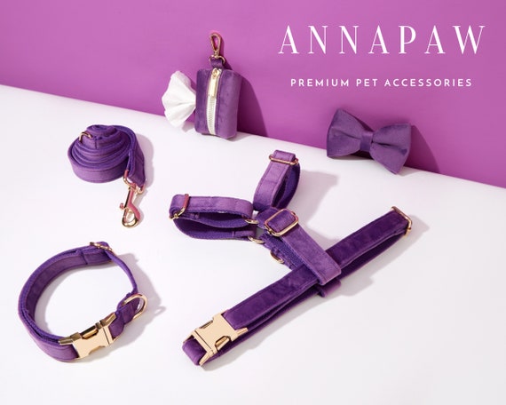 Purple Velvet Dog Harness Set, Personalized Engraved Name, Bow Tie Collar