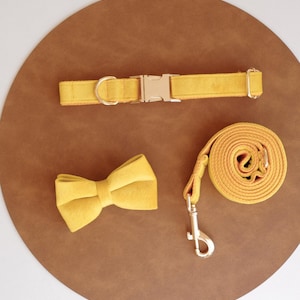 Yellow Velvet Personalized Dog Collar and Leash Bow tie set, Free Name Engraving