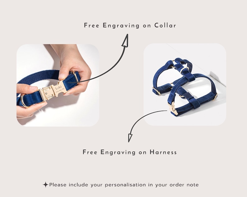 Puede incluir: Un collar y un arn&eacute;s para perro de terciopelo azul con herrajes dorados. El collar tiene el texto "Loki" grabado. La grabaci&oacute;n es gratuita tanto en el collar como en el arn&eacute;s.