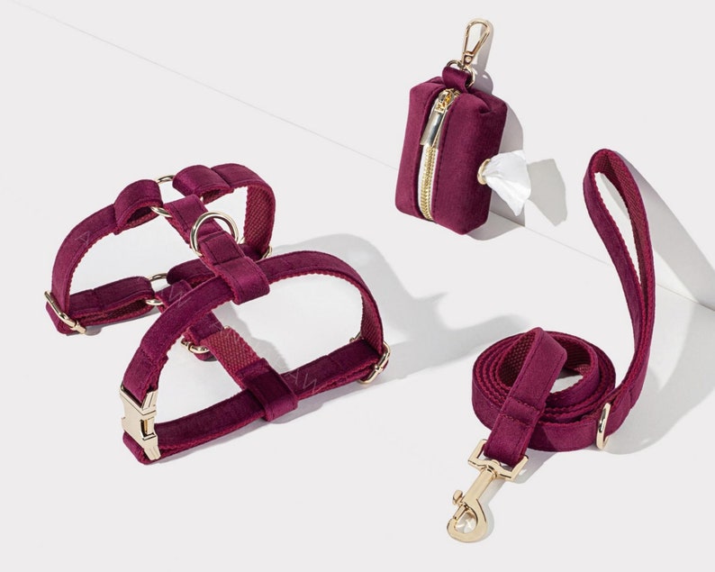 Custom Burgundy Velvet Puppy Collar Leash With Puppy Poop Bag Dispenser