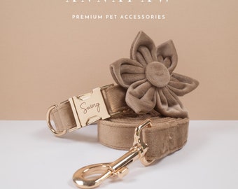 May include: A beige velvet dog collar with a gold buckle and a matching leash. The collar has the word "Swing" engraved on the buckle. A large beige velvet flower is attached to the collar.