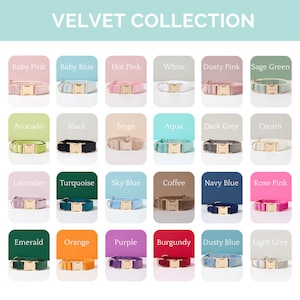 May include: A collection of 20 velvet dog collars in various colors, including baby pink, baby blue, hot pink, white, dusty pink, sage green, avocado, black, beige, aqua, dark grey, cream, lavender, turquoise, sky blue, coffee, navy blue, rose pink, emerald, orange, purple, burgundy, dusty blue, and light grey. Each collar has a gold metal buckle.