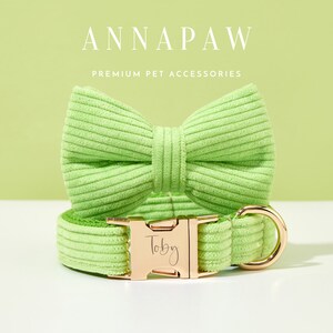 May include: A light green corduroy dog collar with a gold buckle and a matching bow tie. The collar has the name "Toby" engraved on the buckle.