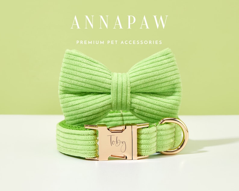 May include: A light green corduroy dog collar with a gold buckle and a matching bow tie. The collar has the name "Toby" engraved on the buckle.