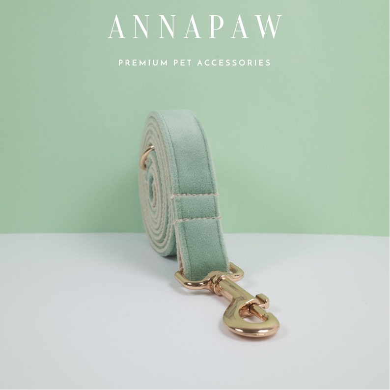 May include: A light green velvet dog leash with a gold metal clasp. ANNAPAW PREMIUM PET ACCESSORIES is printed on the background.