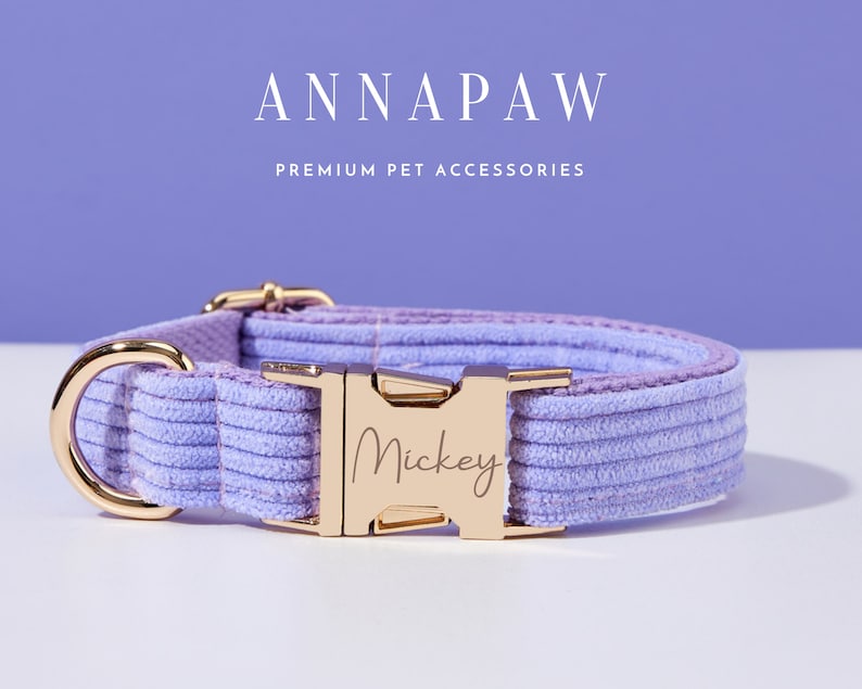 May include: A lavender corduroy dog collar with a gold buckle and the name "Mickey" engraved on it.