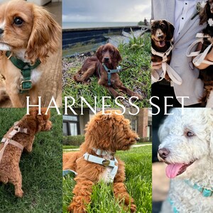 Puede incluir: Un conjunto de arneses para perros en varios colores, incluyendo verde, blanco y azul. Los arneses est&aacute;n hechos de cuero y presentan una variedad de dise&ntilde;os, incluyendo una hebilla en forma de coraz&oacute;n. Los arneses se muestran en diferentes razas de perros, incluyendo un Cavalier King Charles Spaniel, un Golden Retriever y un Poodle.