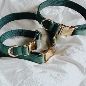 Green Velvet Dog Collar, Custom Pet Collar with Name, Detachable Collar Engagement Gift Dog, Luxury Handmade Dog Collar, Dog Memorial Collar