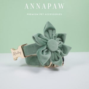 May include: A sage green velvet dog collar with a matching flower accent and a gold buckle. The buckle is engraved with the name "Ruby".