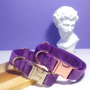 Set di papillon con guinzaglio per collare per cani personalizzato viola, collare per cani ragazzo, collare per cani ragazza, collare per cani personalizzato, fiocco per collare per cani viola, spedizione gratuita