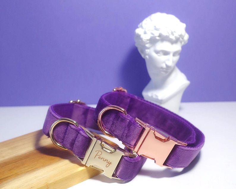 Purple Personalized Dog Collar Leash Bow Tie Set Boy Dog Etsy