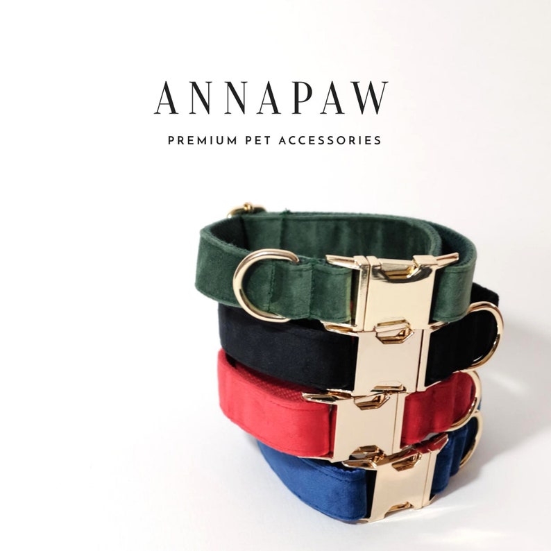 Pu&ograve; includere: Quattro collari per cani in velluto impilati uno sopra l'altro. I collari sono verde, nero, rosso e blu. Ogni collare ha una fibbia in metallo dorato e un anello a D in metallo dorato. I collari sono del marchio "ANNAPAW PREMIUM PET ACCESSORIES".