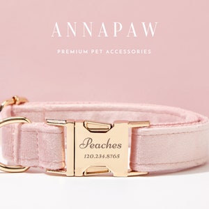 May include: A pink velvet dog collar with a gold buckle and a personalized name tag that reads "Peaches 120.234.8765".
